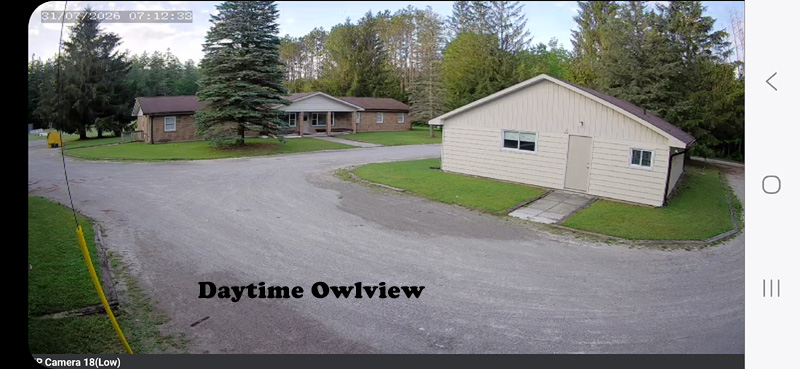 Owlview Daytime 