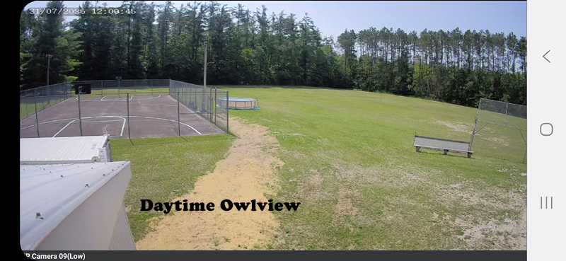 Owlview Daytime