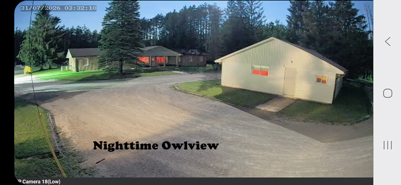Owlview Nighttime