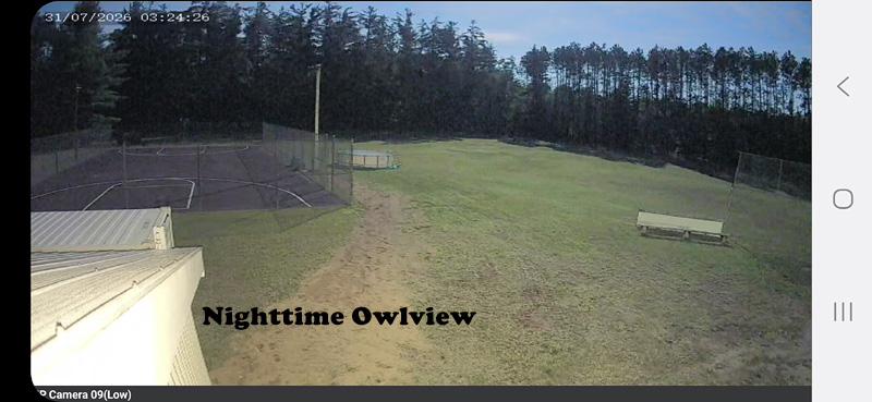 Owlview Nighttime